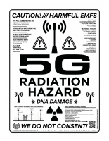 5G FLYER.pdf